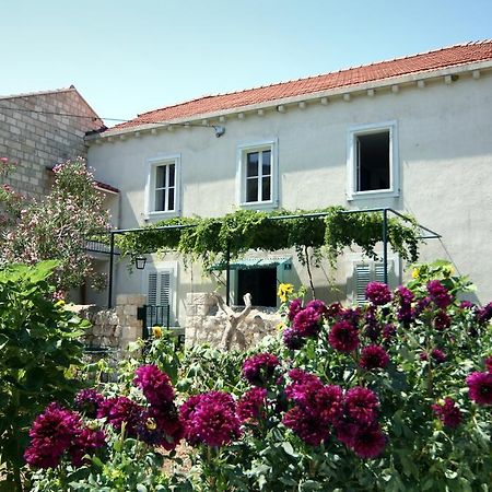 Guest House Katica Затон Екстер'єр фото