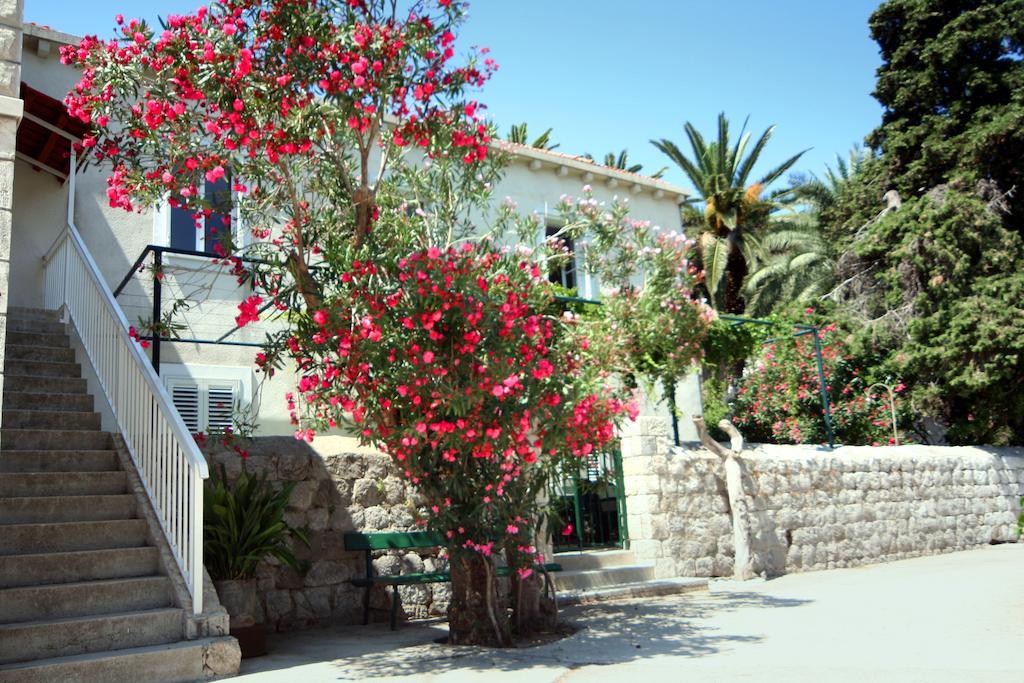 Guest House Katica Затон Екстер'єр фото